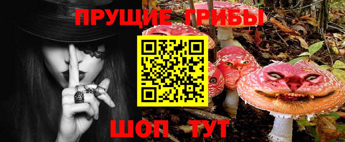 Псилоцибиновые грибы прущие грибы Осинники