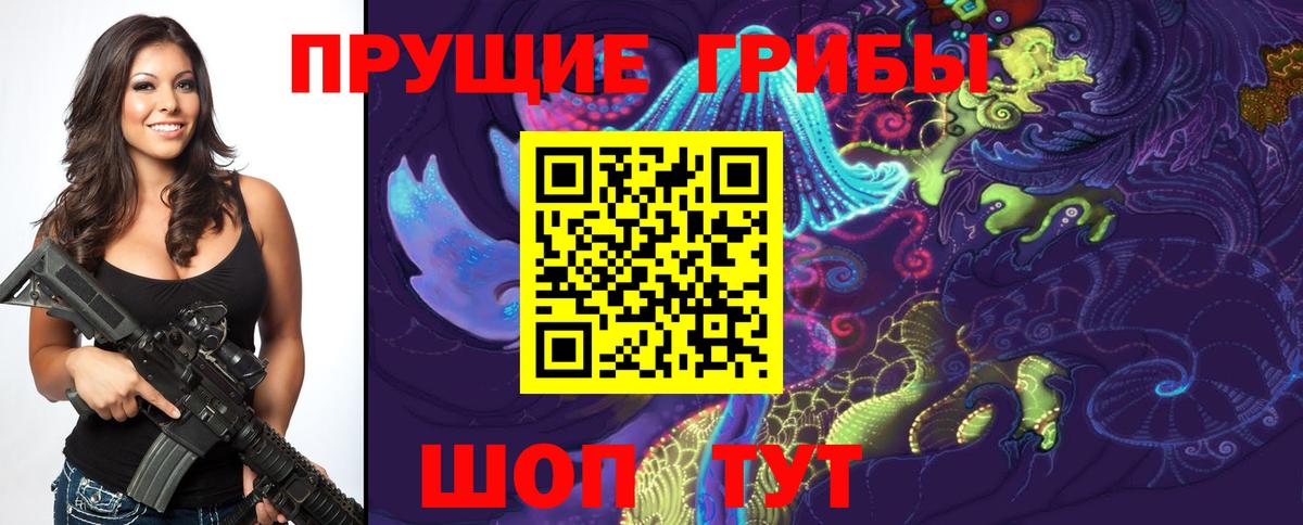 Осинники  Псилоцибиновые грибы Psilocybe  Вход с VPN  Псилоцибиновые грибы ЛСД 